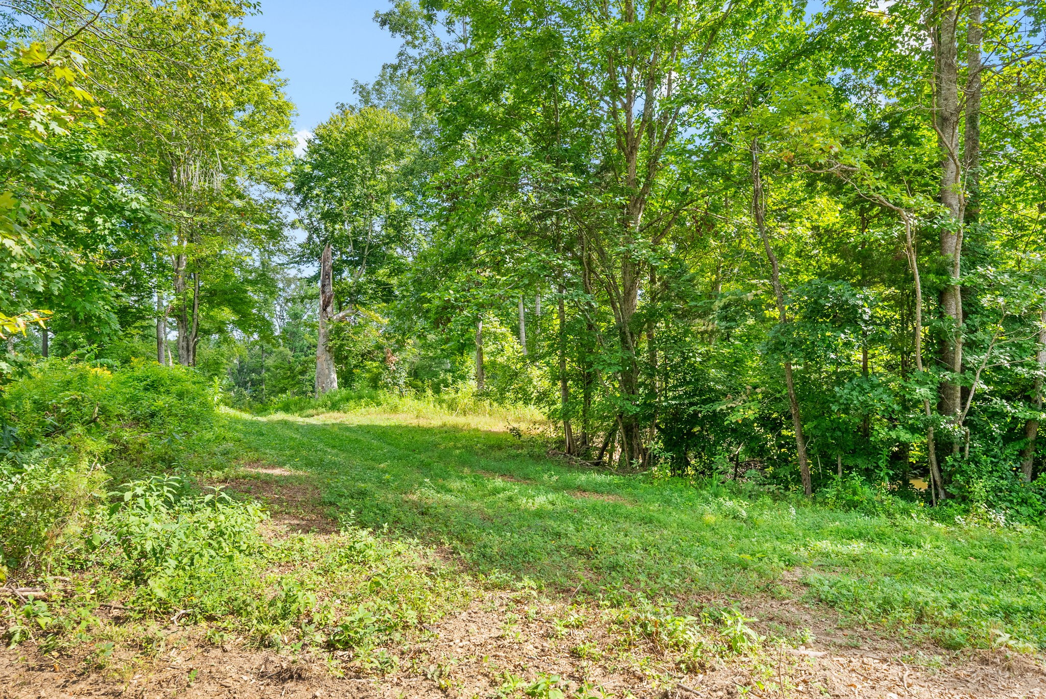 0 Edwards Lane McEwen, TN 37101 - Photo 82 of 100