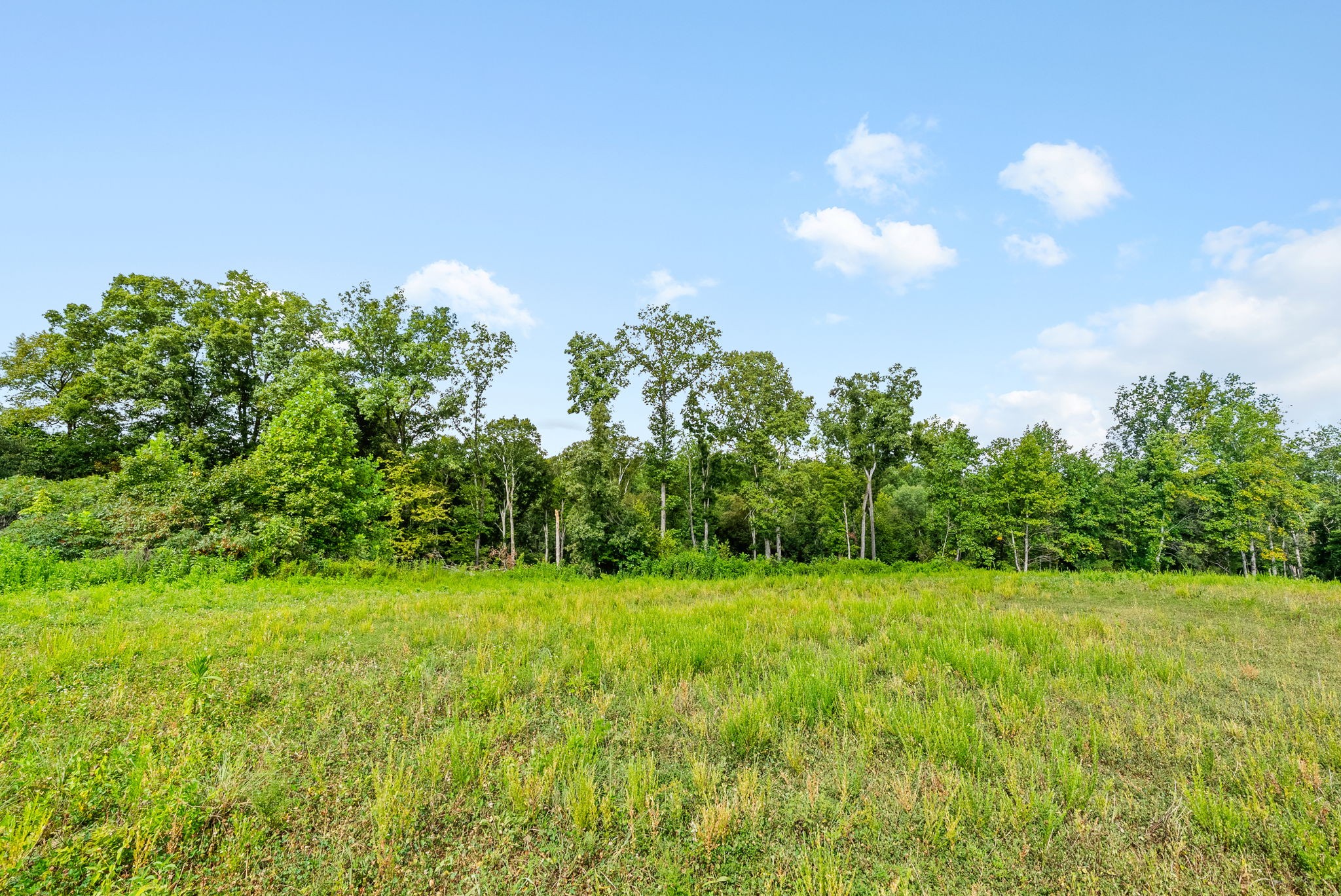 0 Edwards Lane McEwen, TN 37101 - Photo 83 of 100