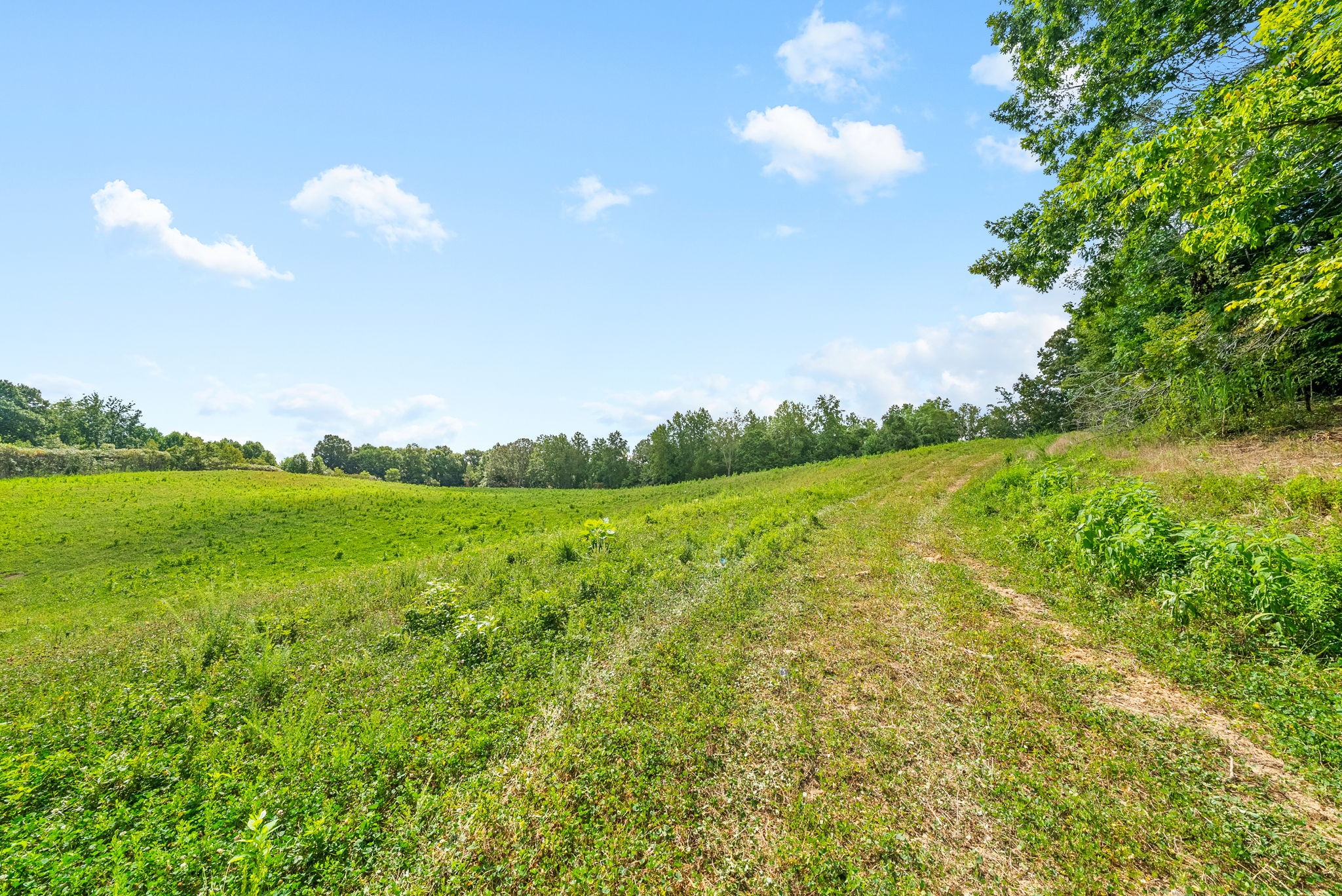 0 Edwards Lane McEwen, TN 37101 - Photo 86 of 100