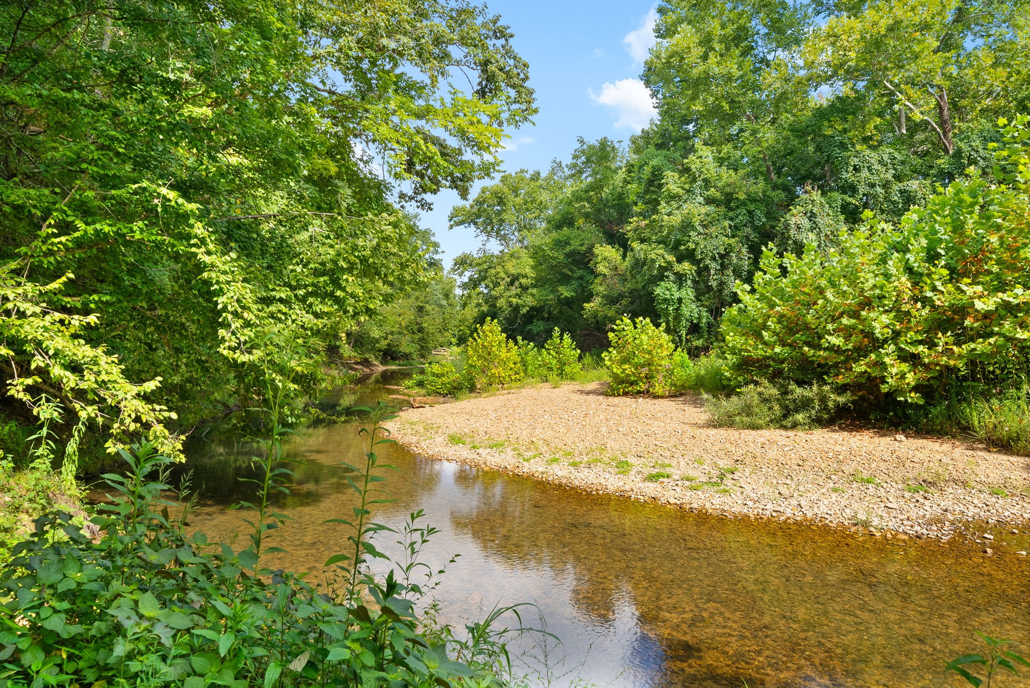 0 Edwards Lane McEwen, TN 37101 - Photo 88 of 100