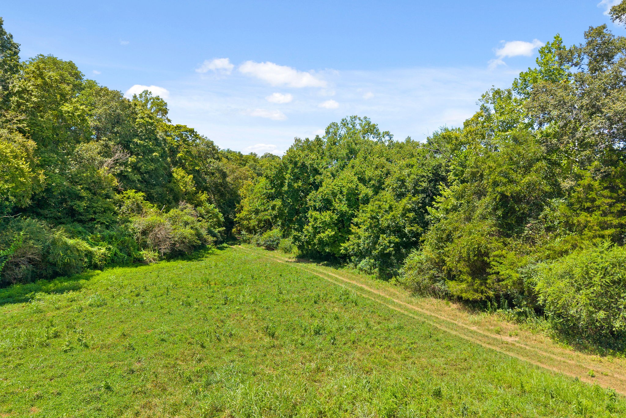 0 Edwards Lane McEwen, TN 37101 - Photo 9 of 100
