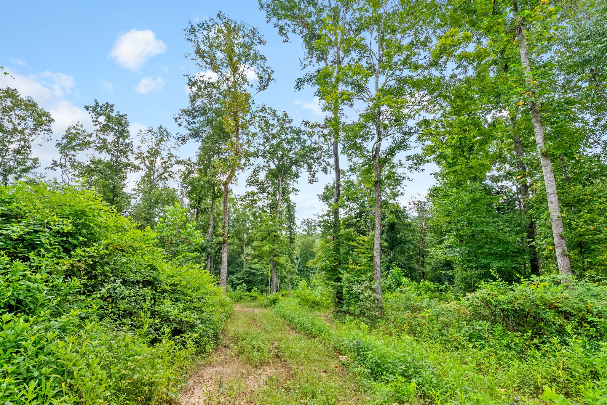 0 Edwards Lane McEwen, TN 37101 - Photo 95 of 100