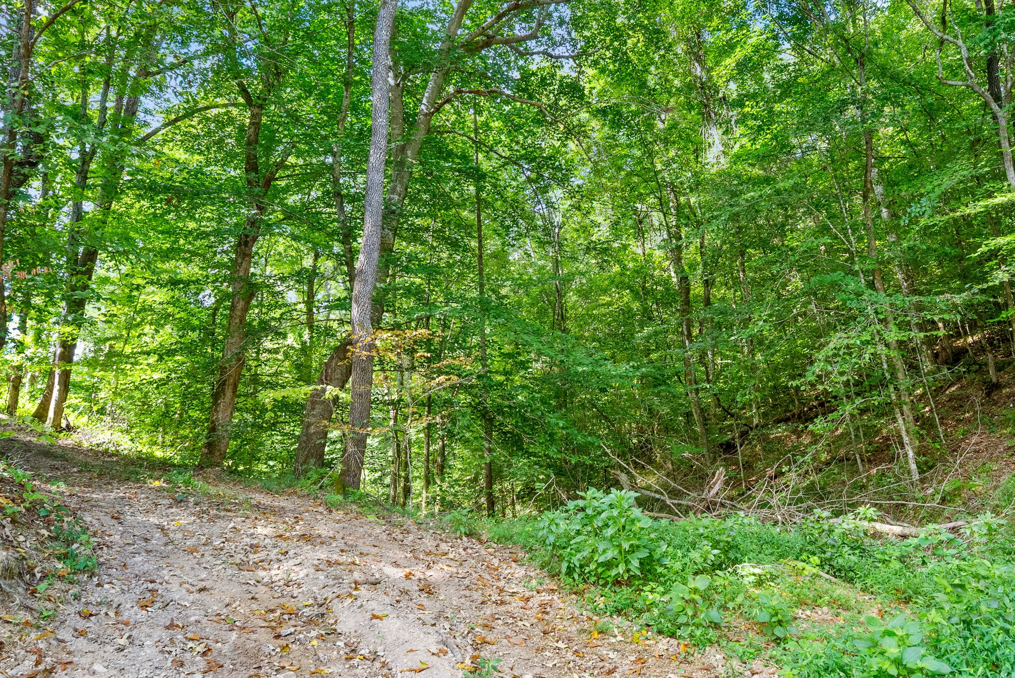 0 Edwards Lane McEwen, TN 37101 - Photo 97 of 100