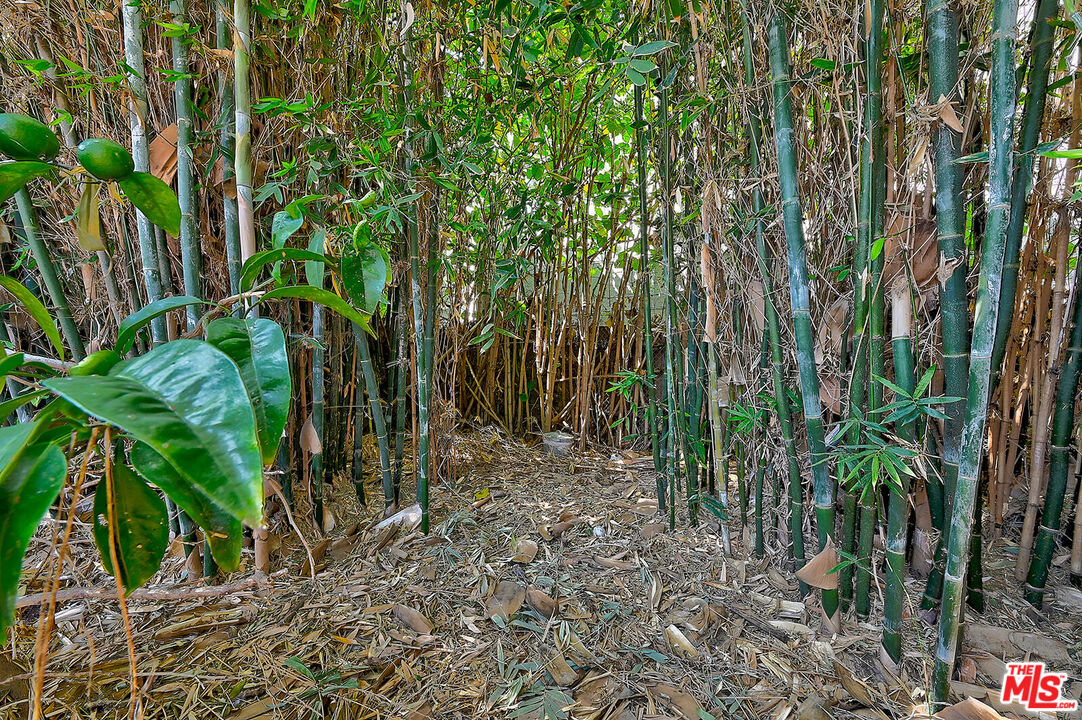 2627 South Cloverdale Avenue Los Angeles, CA 90016 - Photo 9 of 29