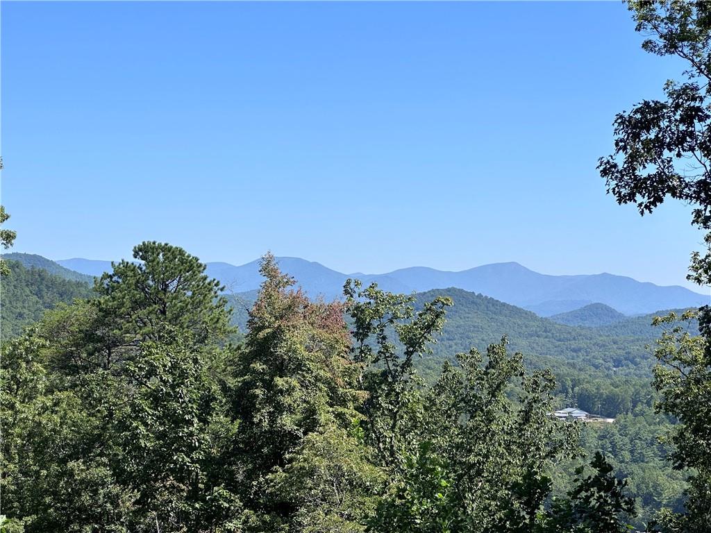 0 Ivy Ridge Clarkesville, GA 30523 - Photo 6 of 9 a view of a mountain range with trees in the background