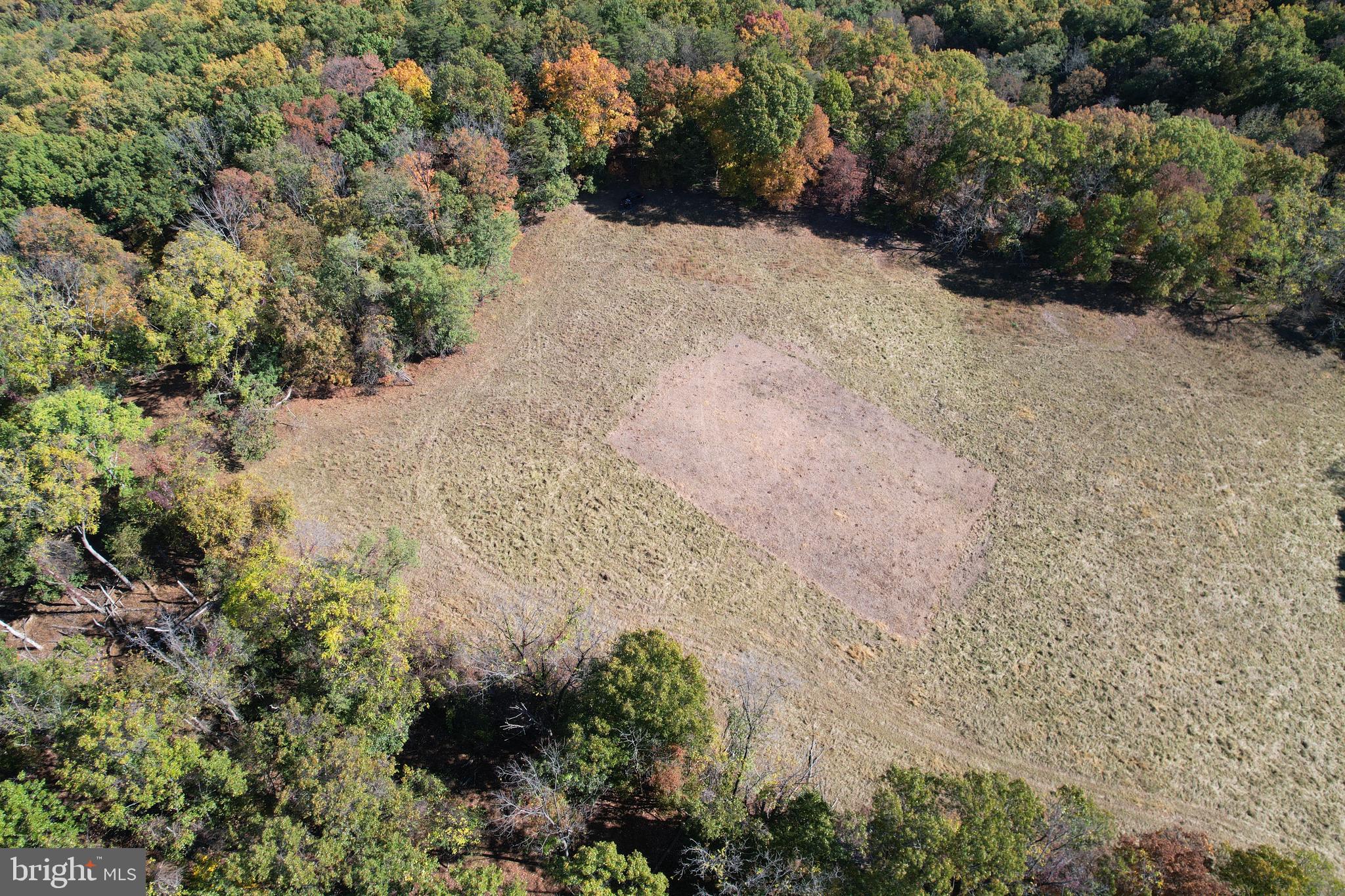 781 Dunmore Road Petersburg, WV 26847 - Photo 8 of 35