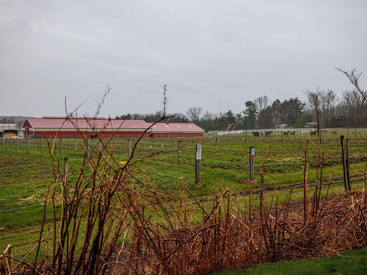92 Quarry Hill Road, Unit 11 South Burlington, VT 05403 - Photo 20 of 23