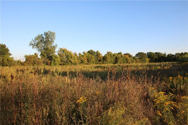 $19,500 | North Manning Road, Holley, NY 14470