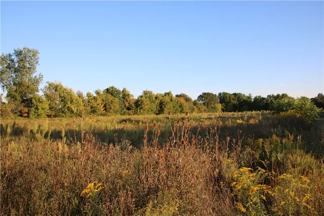 $19,500 | North Manning Road, Holley, NY 14470