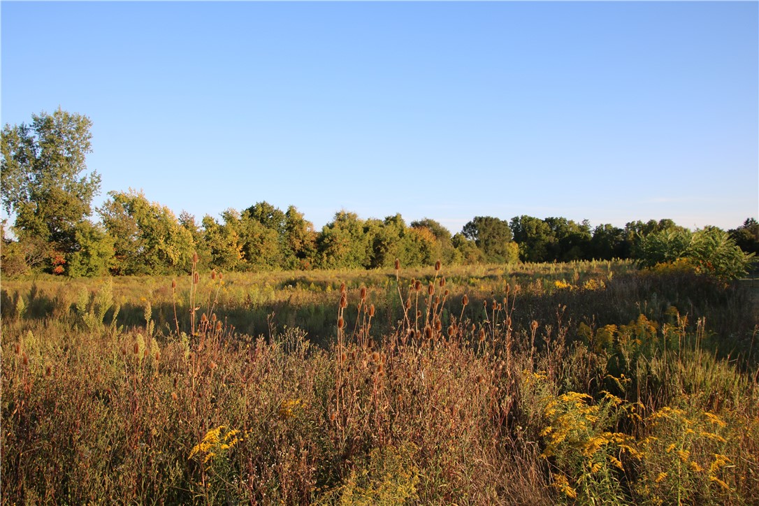 North Manning Road Holley, NY 14470 - Photo 2 of 2