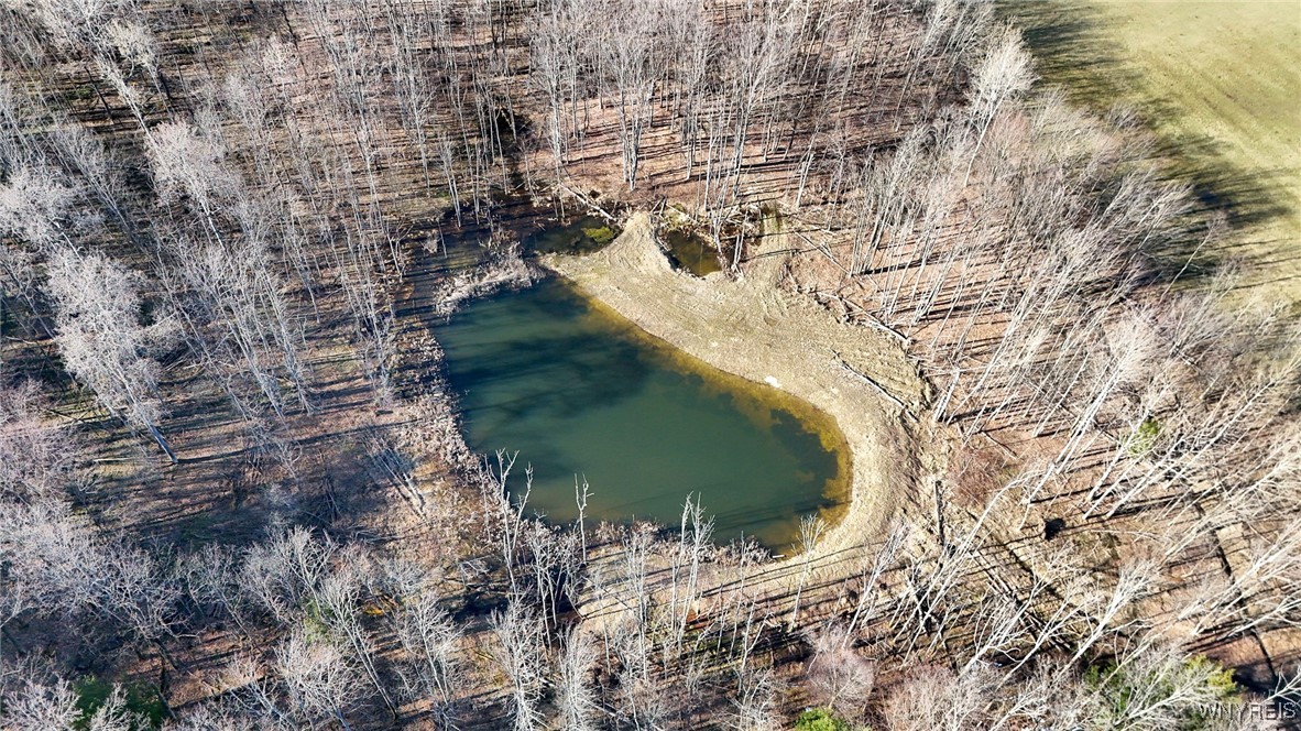 7396 Albro Road Pike, NY 14024 - Photo 11 of 42