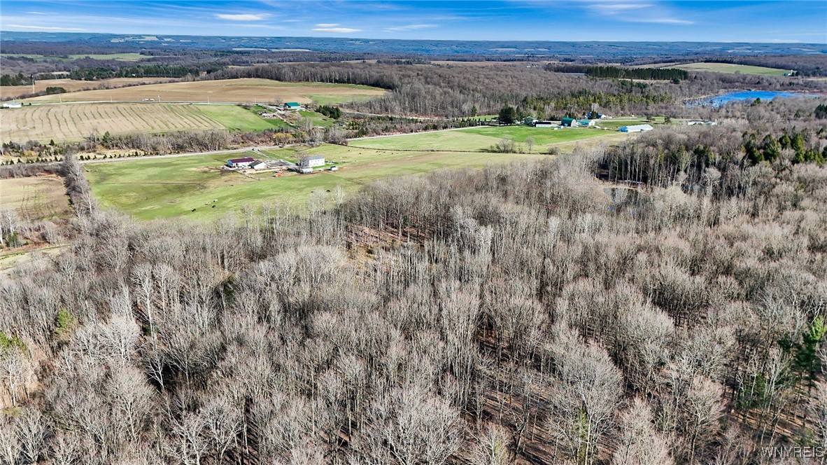 7396 Albro Road Pike, NY 14024 - Photo 12 of 42