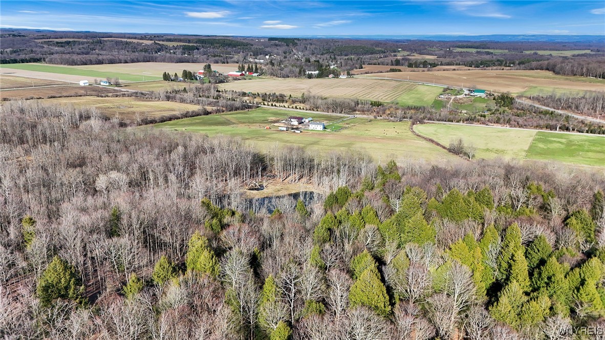 7396 Albro Road Pike, NY 14024 - Photo 10 of 42