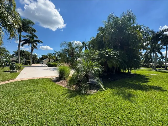 a view of a tree in front of a house