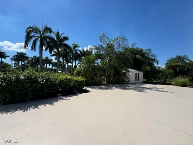 a view of a yard with palm trees