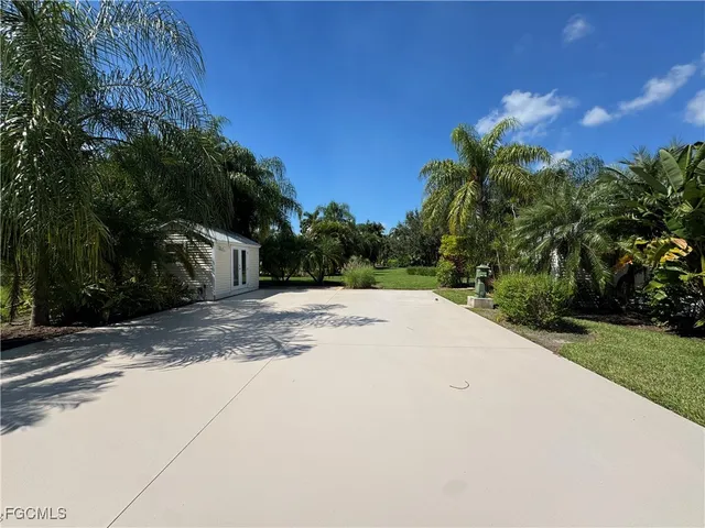 a view of a yard with plants and trees