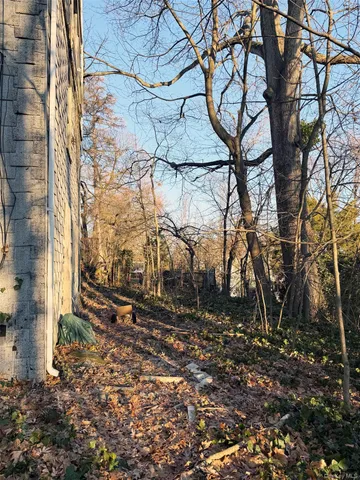 a view of a yard with a tree