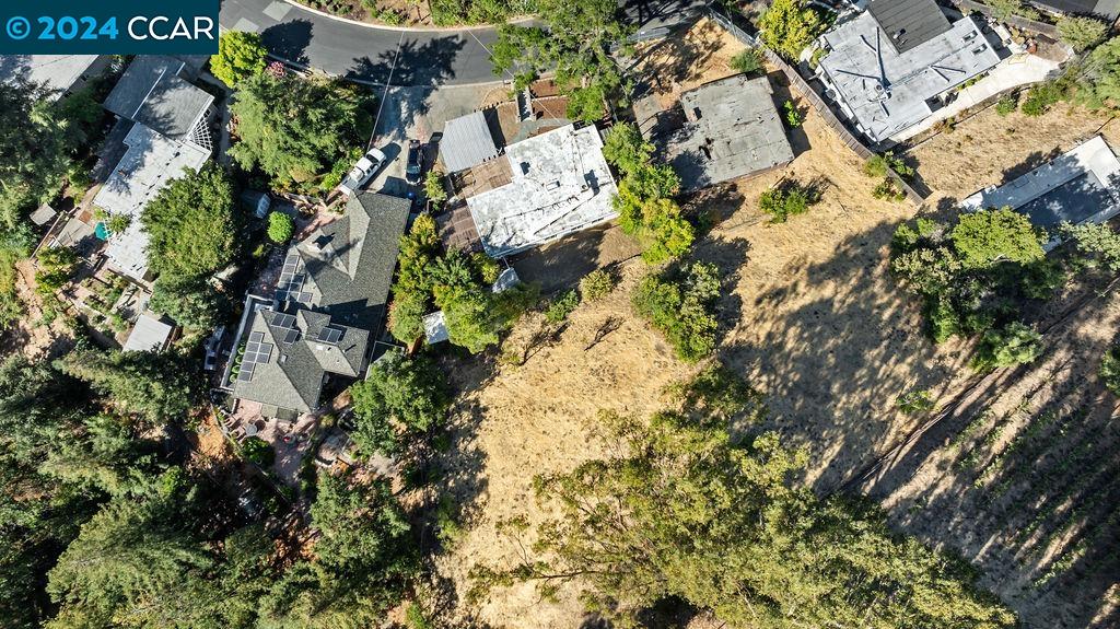 1352 Sunset Loop Lafayette, CA 94549 - Photo 28 of 29 a picture of flowers