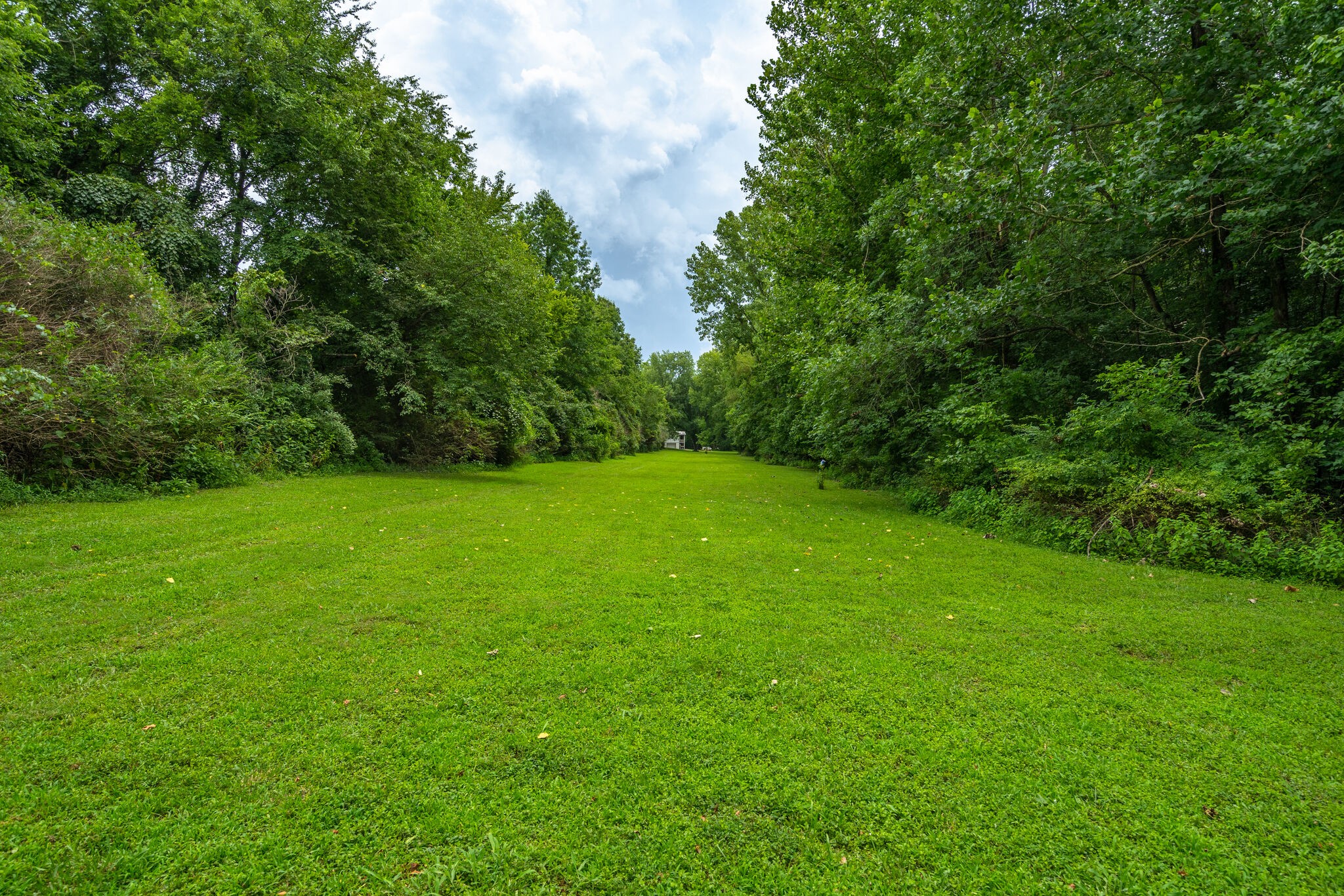 537 Chapmansboro Road Ashland City, TN 37015 - Photo 25 of 28 a view of a green yard
