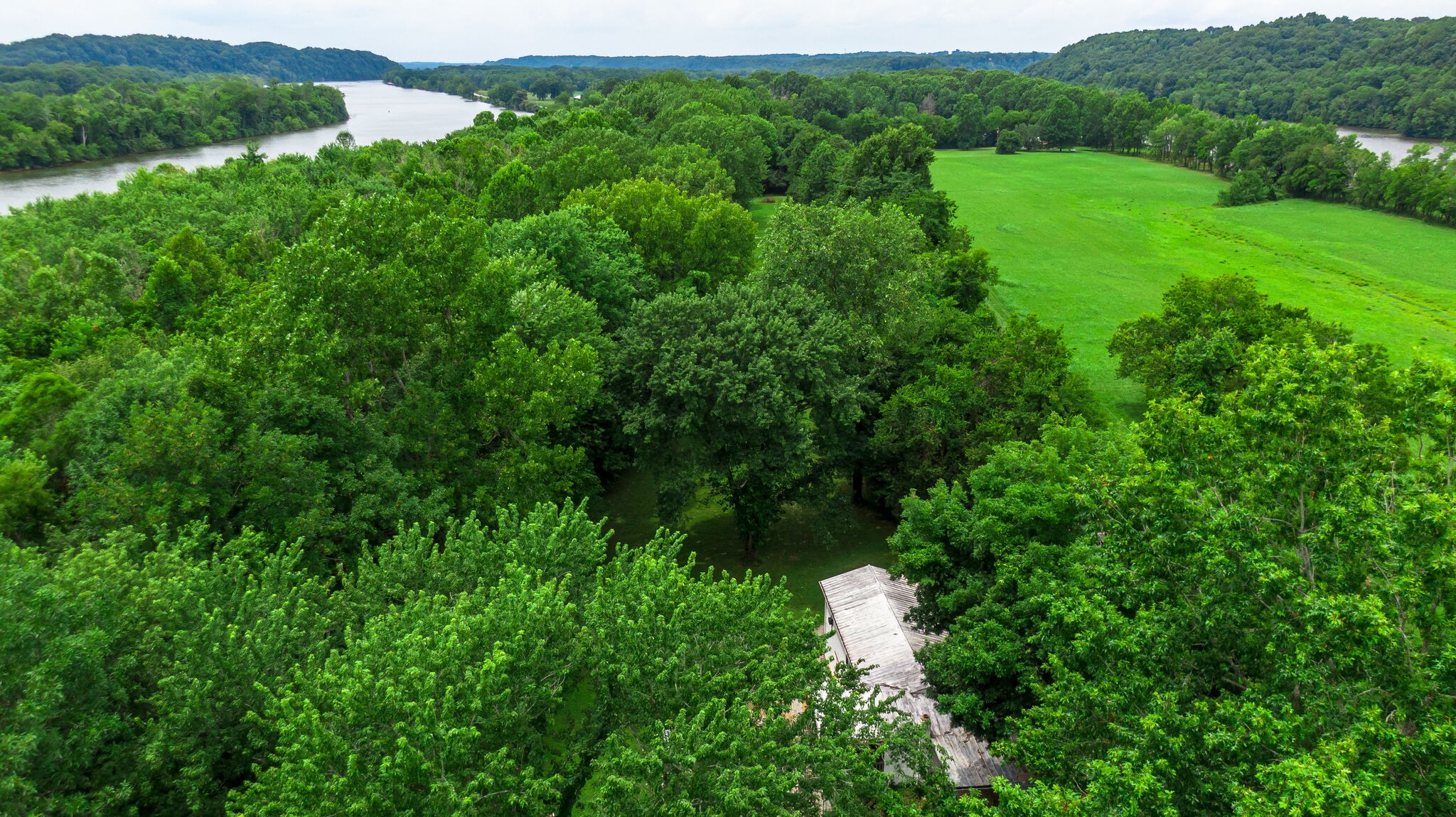 537 Chapmansboro Road Ashland City, TN 37015 - Photo 26 of 28 a view of a lush green forest with houses