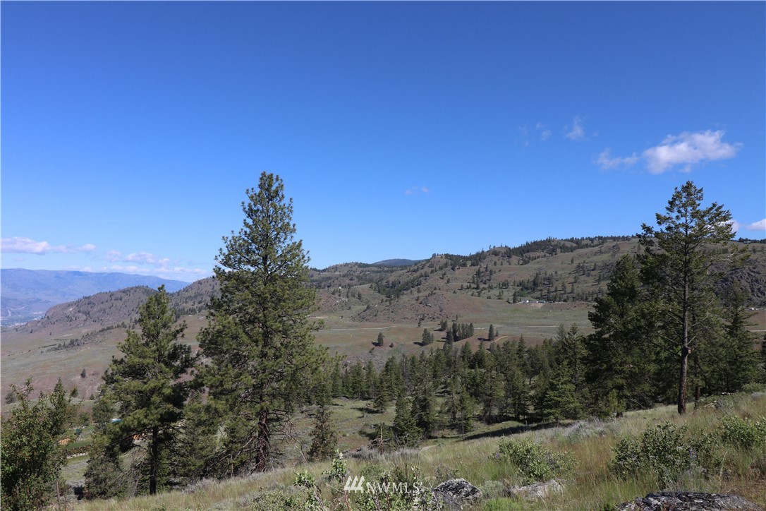 204 Sunset Ridge Road Oroville, WA 98844 - Photo 17 of 20 Gallery Image 17