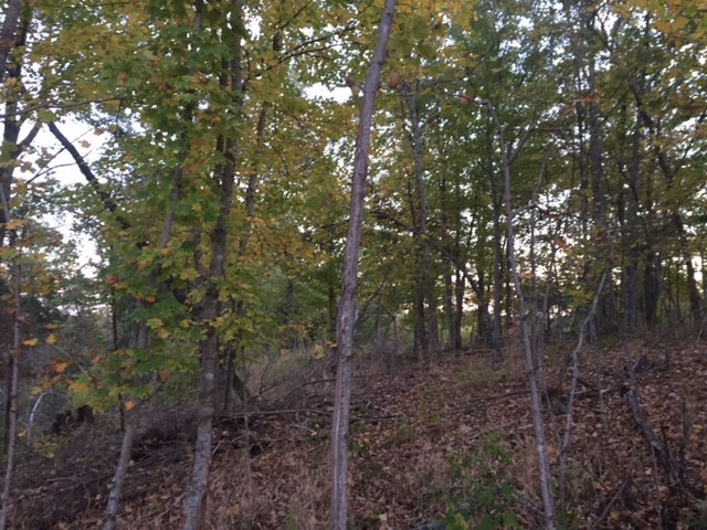 2475 Claxon Ridge Road Owenton, KY 40359 - Photo 25 of 40 Gallery Image 25