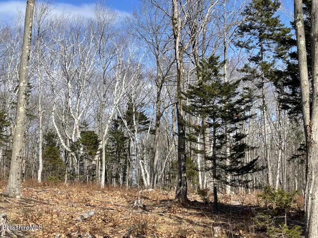 88 Church Road Florida, MA 01343 - Photo 9 of 10 a backyard of a house