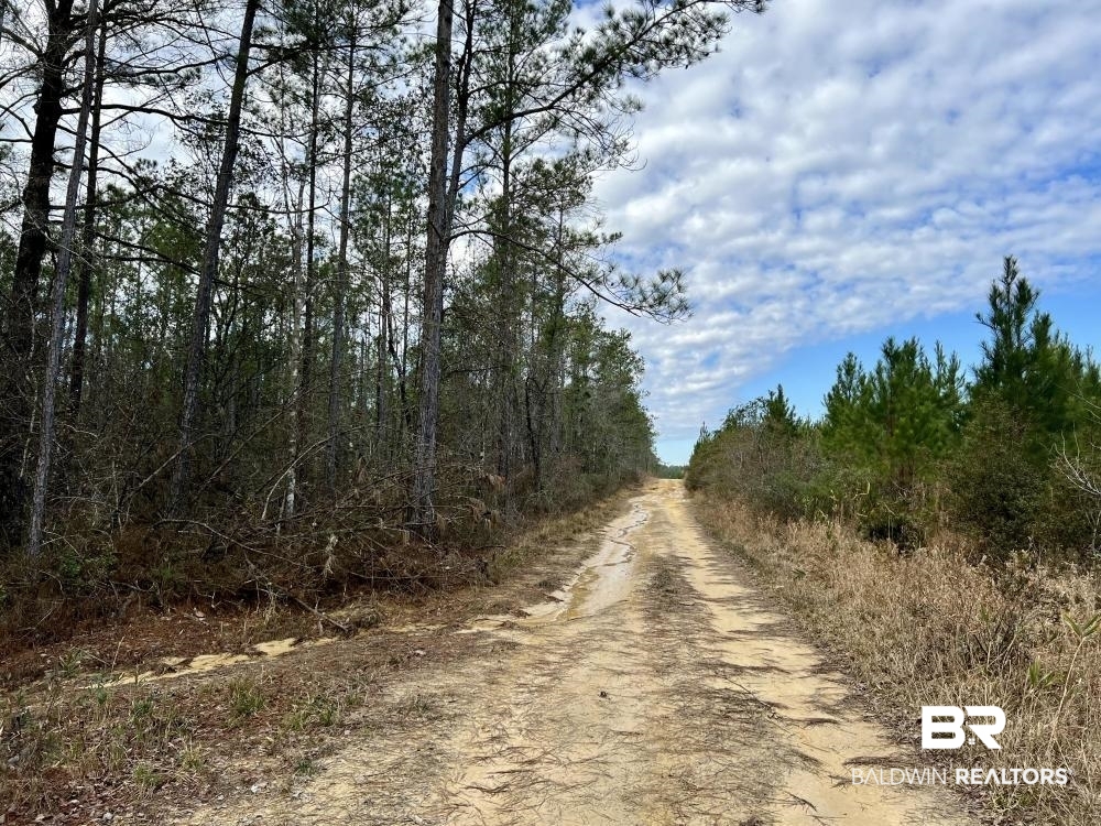 0 Country Road Deer Park, AL 36529 - Photo 3 of 46