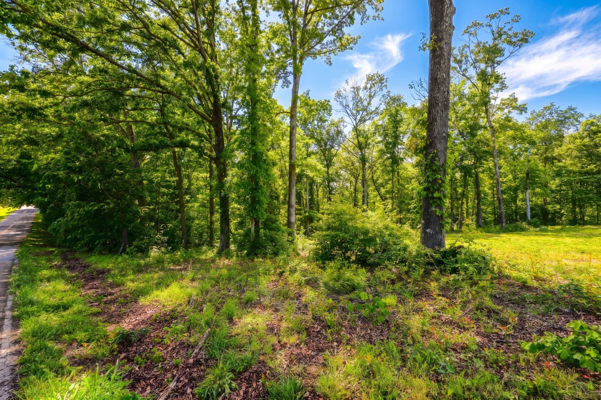 0 Akin Road Cunningham, TN 37052 - Photo 15 of 16 Gallery Image 15