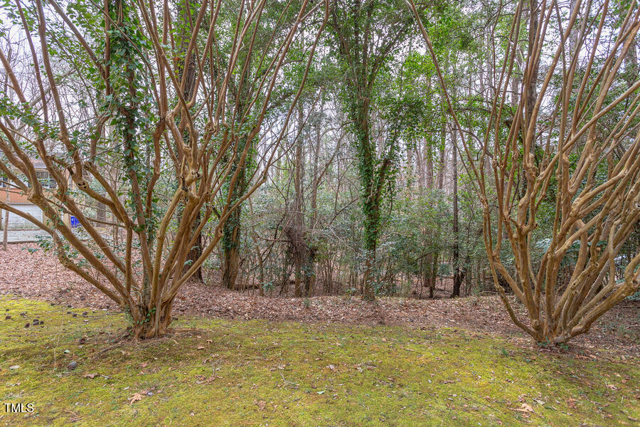 409 Granville Road Chapel Hill, NC 27514 - Photo 2 of 9 a view of swimming pool with trees