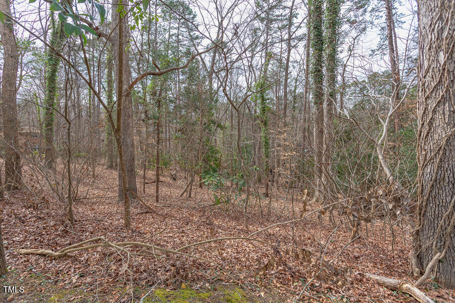 409 Granville Road Chapel Hill, NC 27514 - Photo 3 of 9 a view of a forest with trees in the background