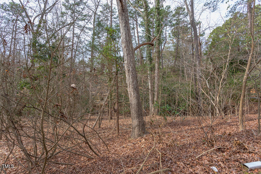 409 Granville Road Chapel Hill, NC 27514 - Photo 4 of 9 a view of a forest with trees in the background