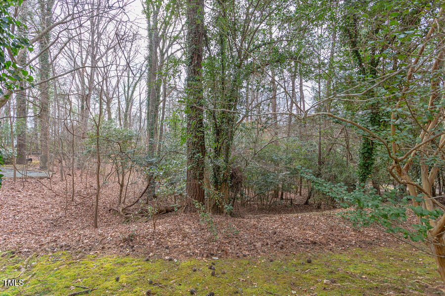 409 Granville Road Chapel Hill, NC 27514 - Photo 5 of 9 a view of a forest with trees in the background