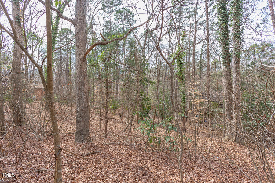 409 Granville Road Chapel Hill, NC 27514 - Photo 6 of 9 a view of a forest with trees in the background