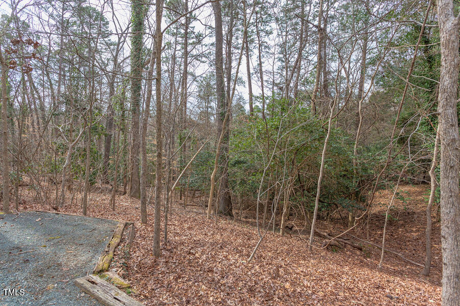 409 Granville Road Chapel Hill, NC 27514 - Photo 8 of 9 a backyard of a house with lots of green space