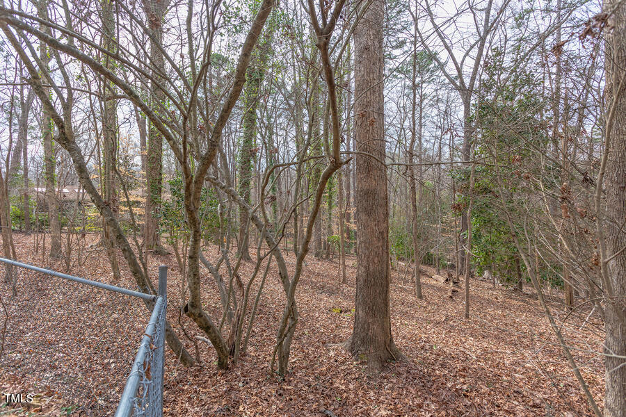 409 Granville Road Chapel Hill, NC 27514 - Photo 9 of 9 a view of a forest filled with trees