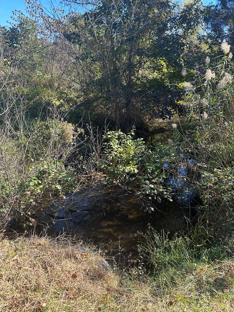 Lot 131 Metompkin Road, Unit 131 Parksley, VA 23421 - Photo 6 of 12