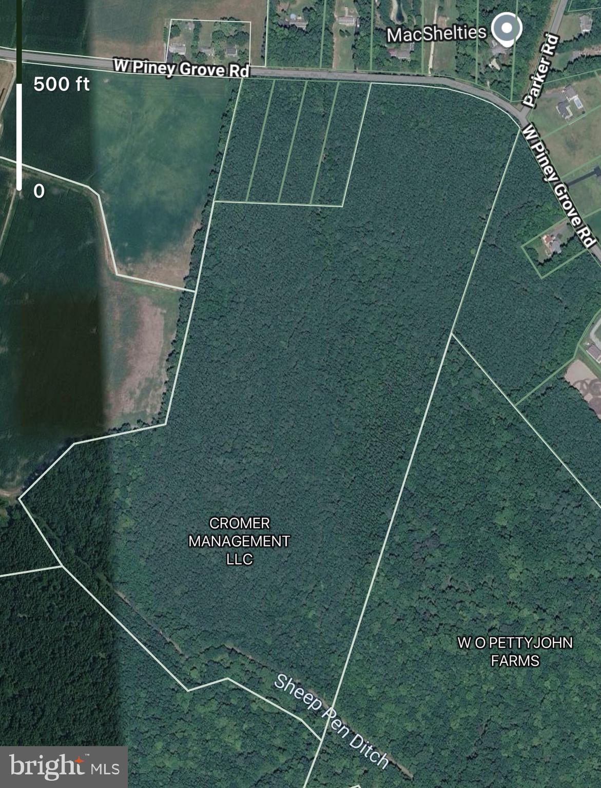 51-acres West Piney Grove Road, Unit DE Georgetown, DE 19947 - Photo 2 of 2