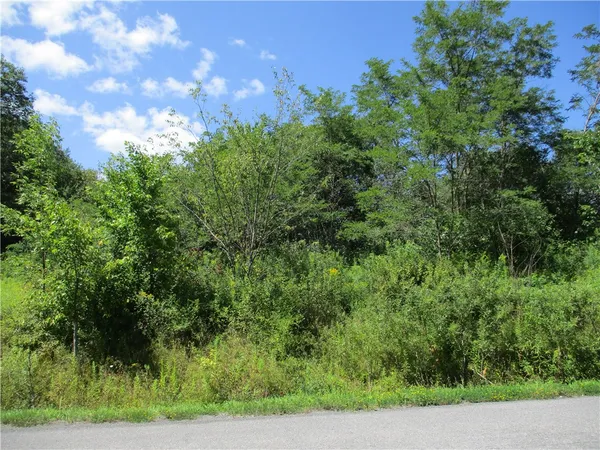 $98,500 | 0 Daniels Road, South Plymouth, NY 13844