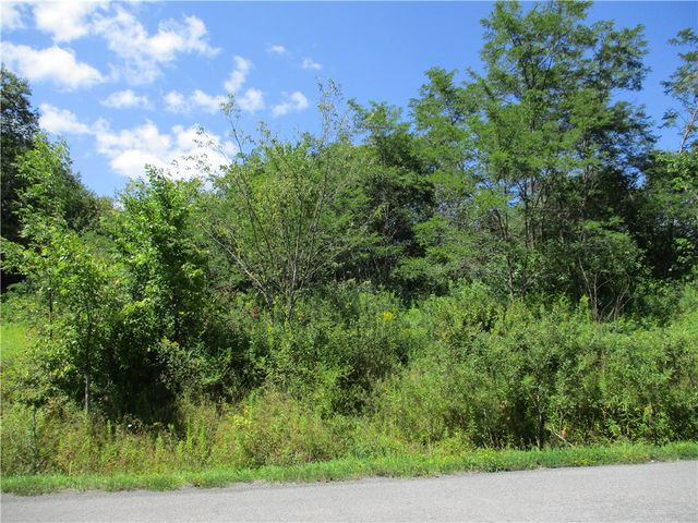 $98,500 | 0 Daniels Road, South Plymouth, NY 13844