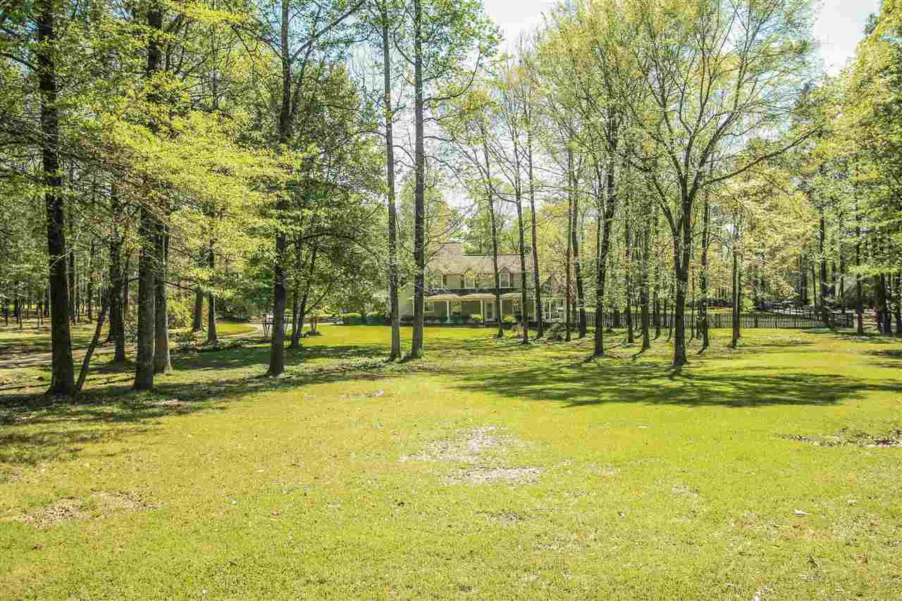 610 South Spring Lake Road Terry, MS 39170 - Photo 3 of 42 Photo 3