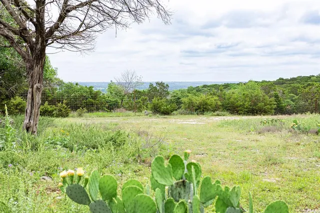 a view of a forest with a street