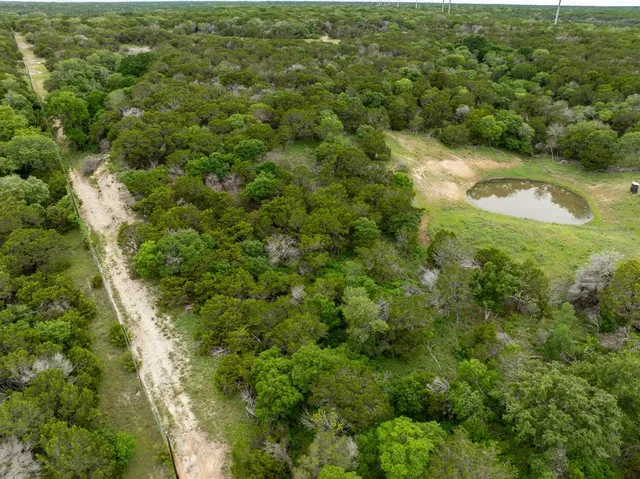 a view of a forest with a street