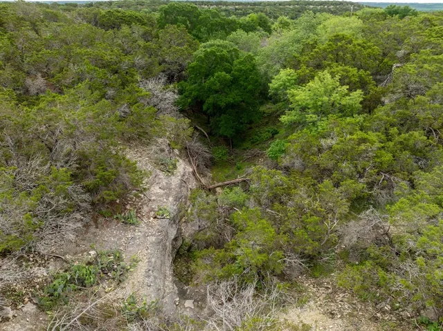 a view of a yard with wooden fence