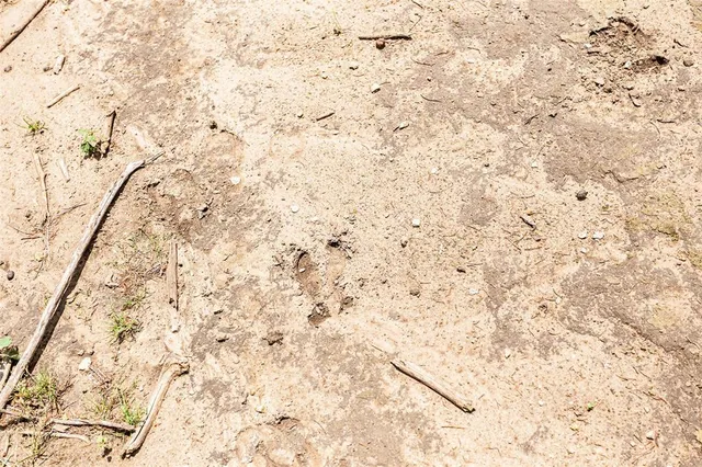 $1,249,900 | 7807 Highway 6, Clifton, TX 76634