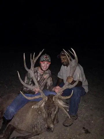 a view of folding clothes and other items