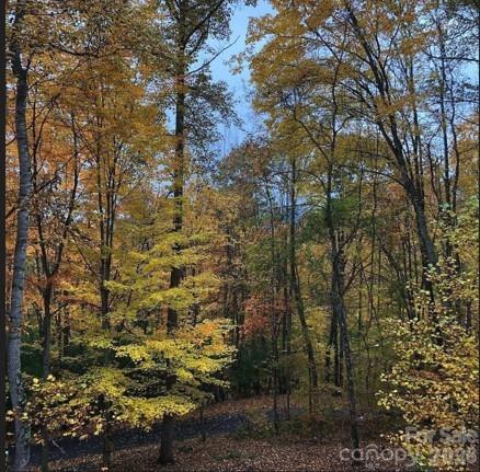 49 Brandywine Road Waynesville, NC 28786 - Photo 36 of 38