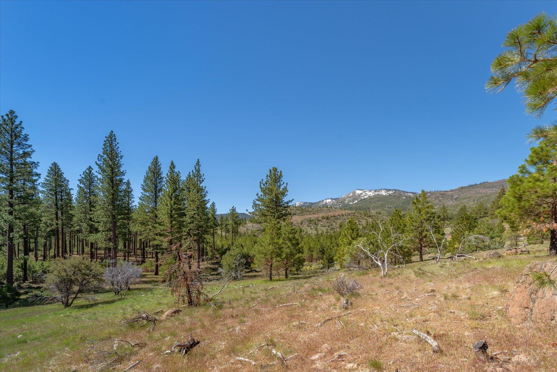 Feenune Road Loyalton, CA 96118 - Photo 11 of 28