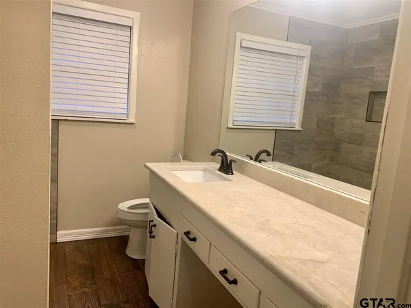 a bathroom with a granite countertop sink toilet and mirror