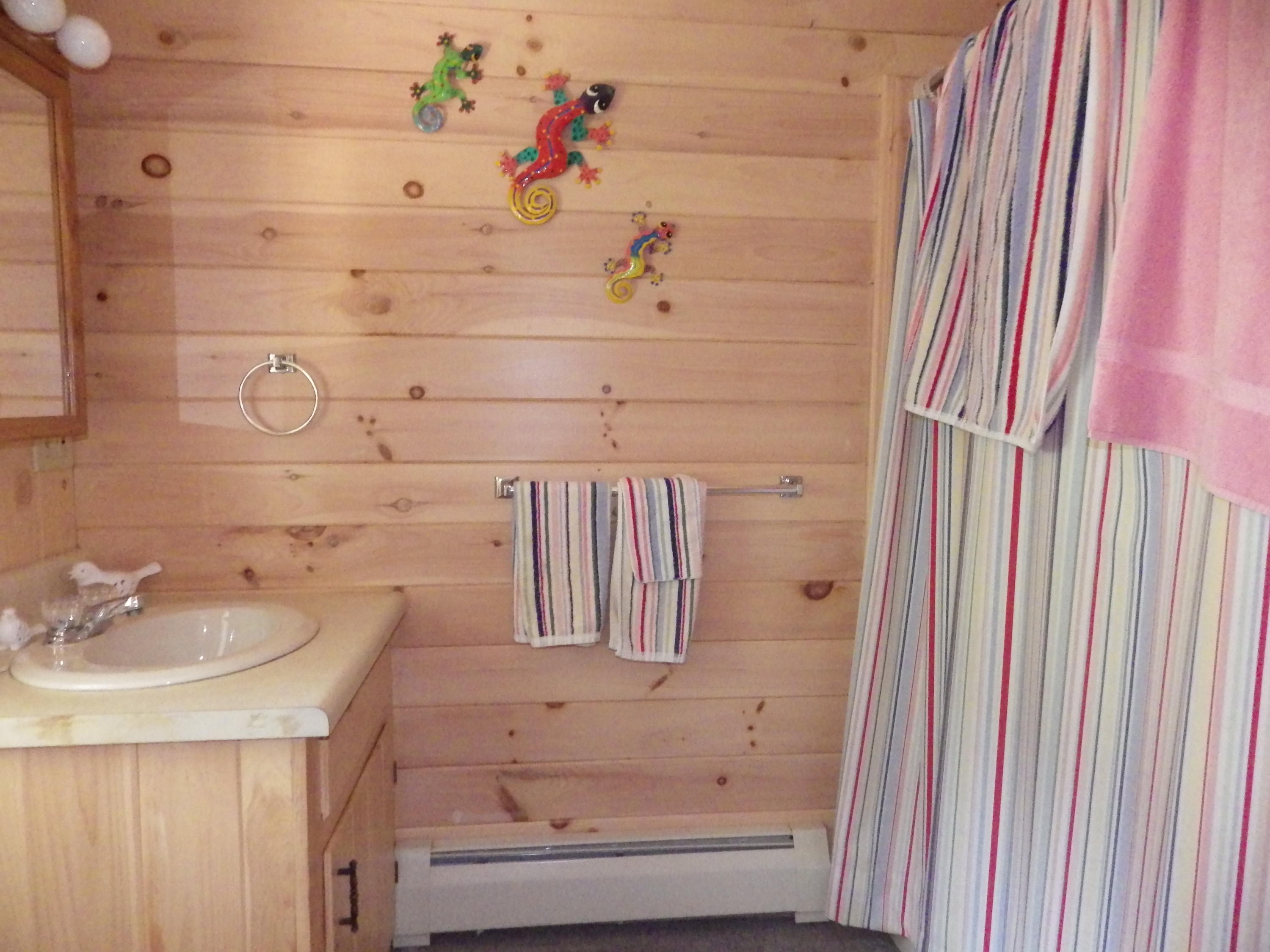 149 Mountain Drive Rome, ME 04963 - Photo 25 of 43 IMGP7617
